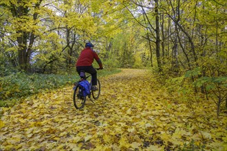Cyclist on autumnal cycle path