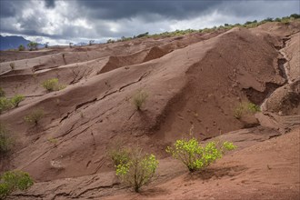 Red earth and sparse vegetation