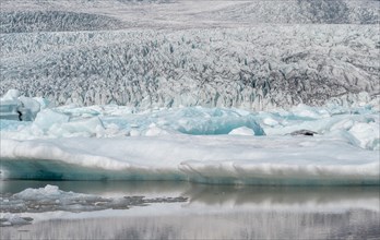 Fjallsarlon ice lagoon