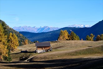 Alpe di Siusi