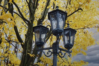 Old street lamp in front of deciduous tree in autumn