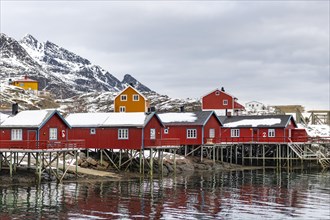 Coloured boathouses in the harbour