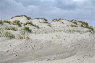 Dunes on the North Sea