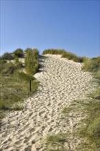 Paths in the dunes near Wittduen