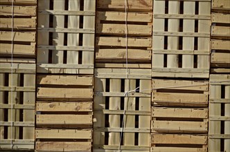 Wooden boxes for harvest