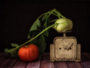 Still Life with Pumpkin and Kohlrabi on Old Kitchen Scales