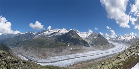 Landscape with Aletsch Glacier from Bettmerhorn Viewpoint