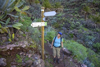 Hiker looking at signpost to Alajero