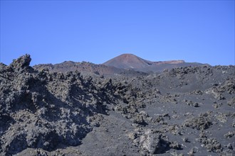 Lava field of the Teneguia volcano