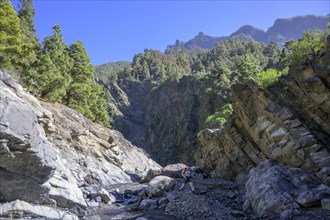 The hiking trail leads through the Barranco de las Angustias