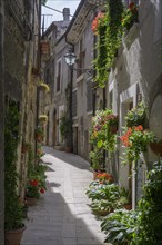 Narrow alley in the old town