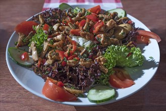 Salad with roasted turkey strips and fresh mushrooms served in a garden restaurant