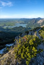 View of hiking trail and Lake Kochel