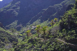 The path leads down to the small settlement in Barranco Guarimar