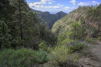 View around the Barranco del Infierno