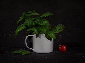 Still Life with Basil in an Enamel Cup and Tomato