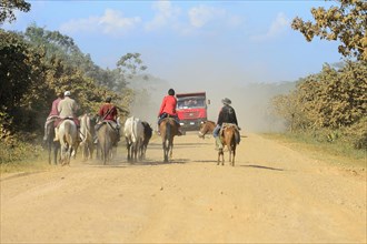 Gauchos with cattle and trucks on the dusty Ruta Nacional 3