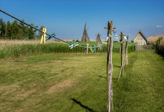 Clothesline with clothes pegs in a meadow