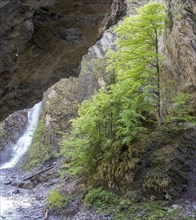 Waterfall in the Liechtensteinklamm