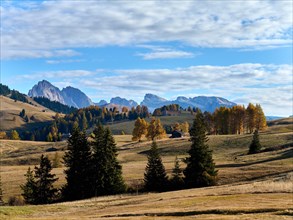 Alpe di Siusi