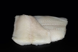 Filet of greenland halibut