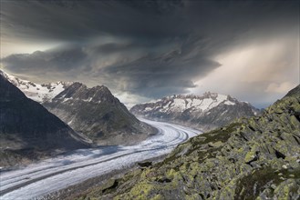 Landscape with the Aletsch Glacier World Heritage Site