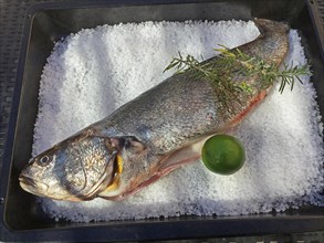 Sea bass with lime in salt crust