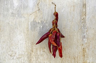 Red dried peppers hanging on nail in front of house wall