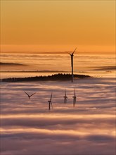Forest and wind turbines rising from cloud cover
