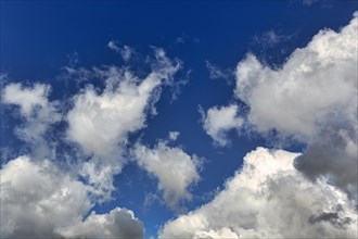 Spring clouds in the blue sky