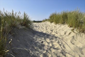 Paths in the dunes near Wittduen
