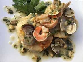 Hake with peeled prawns and clams with parsley