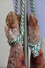 Suspended pork shanks on a rope
