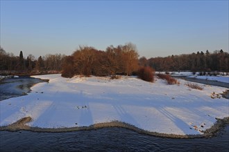 White winter landscape with trees on the Isar at the Flaucher