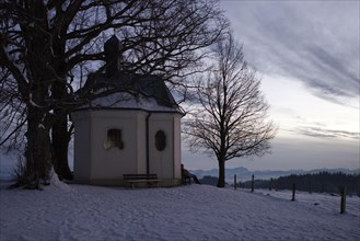 Small chapel with trees in snowy winter landscape with aplp panorama