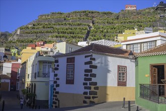 Houses in the old town and terraces with bananas