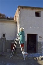 Woman on ladder painting her house