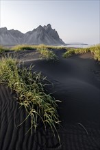 Black lava beach