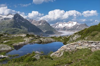 Small mountain lake with World Heritage Site Aletsch Glacier in the background