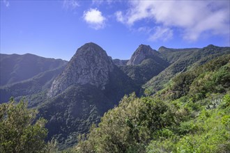 View from Mirador del Rejo