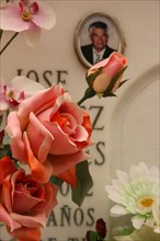 Silk rose in front of Spanish tombstone with image of the dead