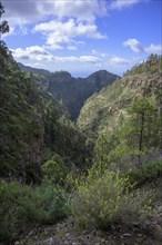 View around the Barranco del Infierno