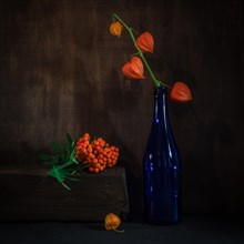 Still Life with Physalis in Blue Bottle Next to Rowan Berries on Wooden Beam