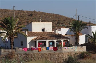 House with palm tree and many colourful cloths drying