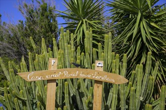 Parking sign and cacti at Casa Rural