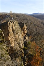 Birch on the rock Rabenstein