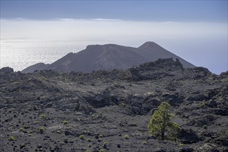 Hike to Teneguia Volcano
