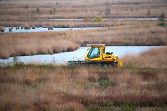 Peatland protection is climate protection