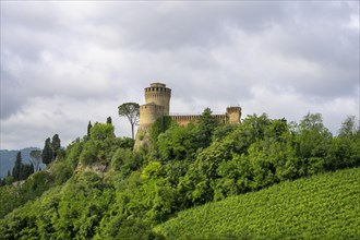 Rocca Veneziani
