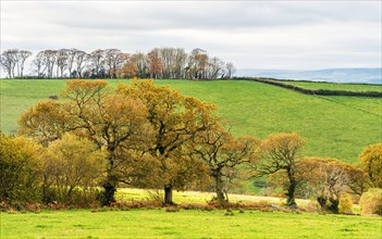 Meadows and Fields over Devon in the colors of fall